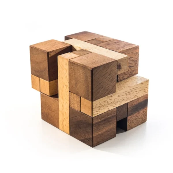 The Bind Cube - A Deceptively Simple Interlocking Challenge